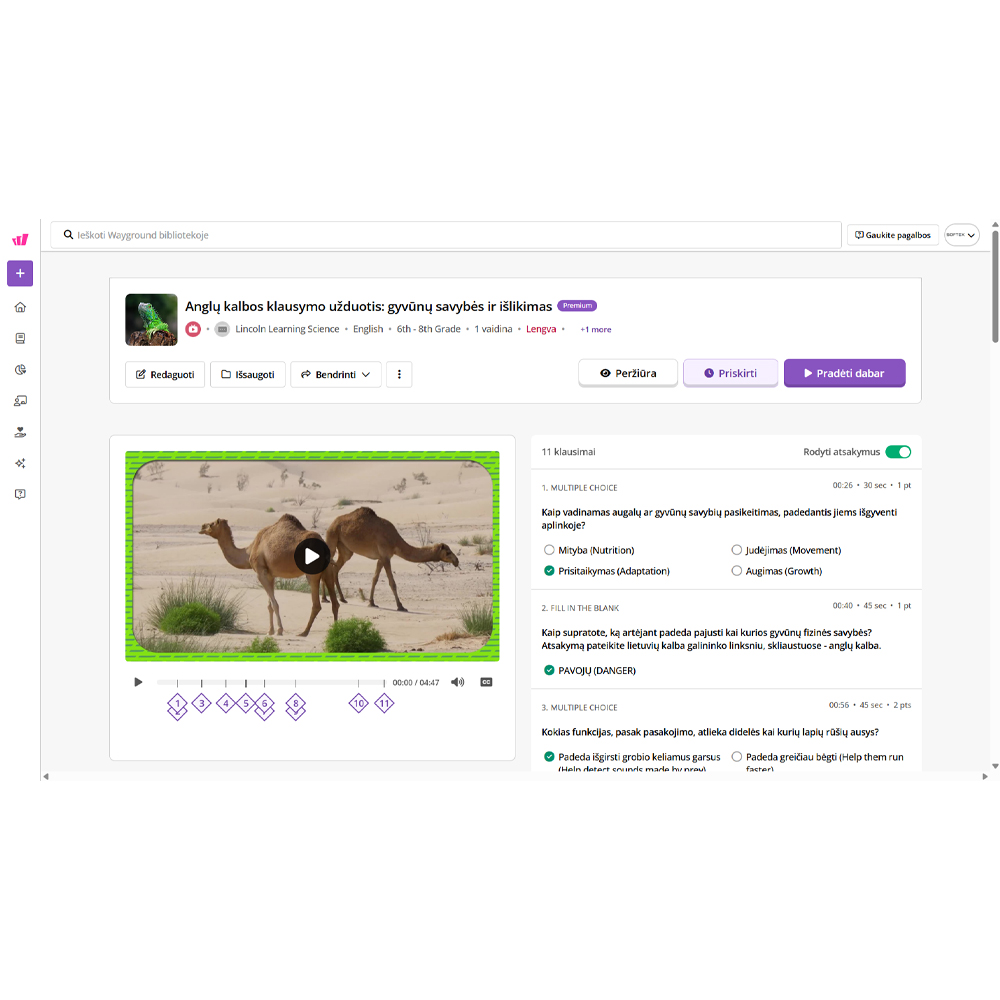Wayground for Education