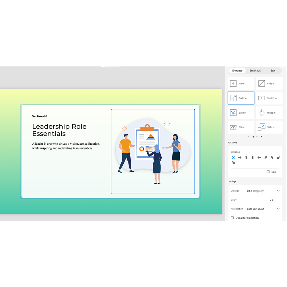 Adobe Captivate (1 metams)