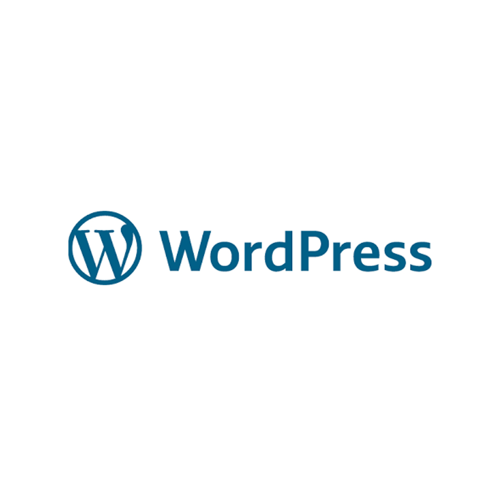 WordPress mokymai