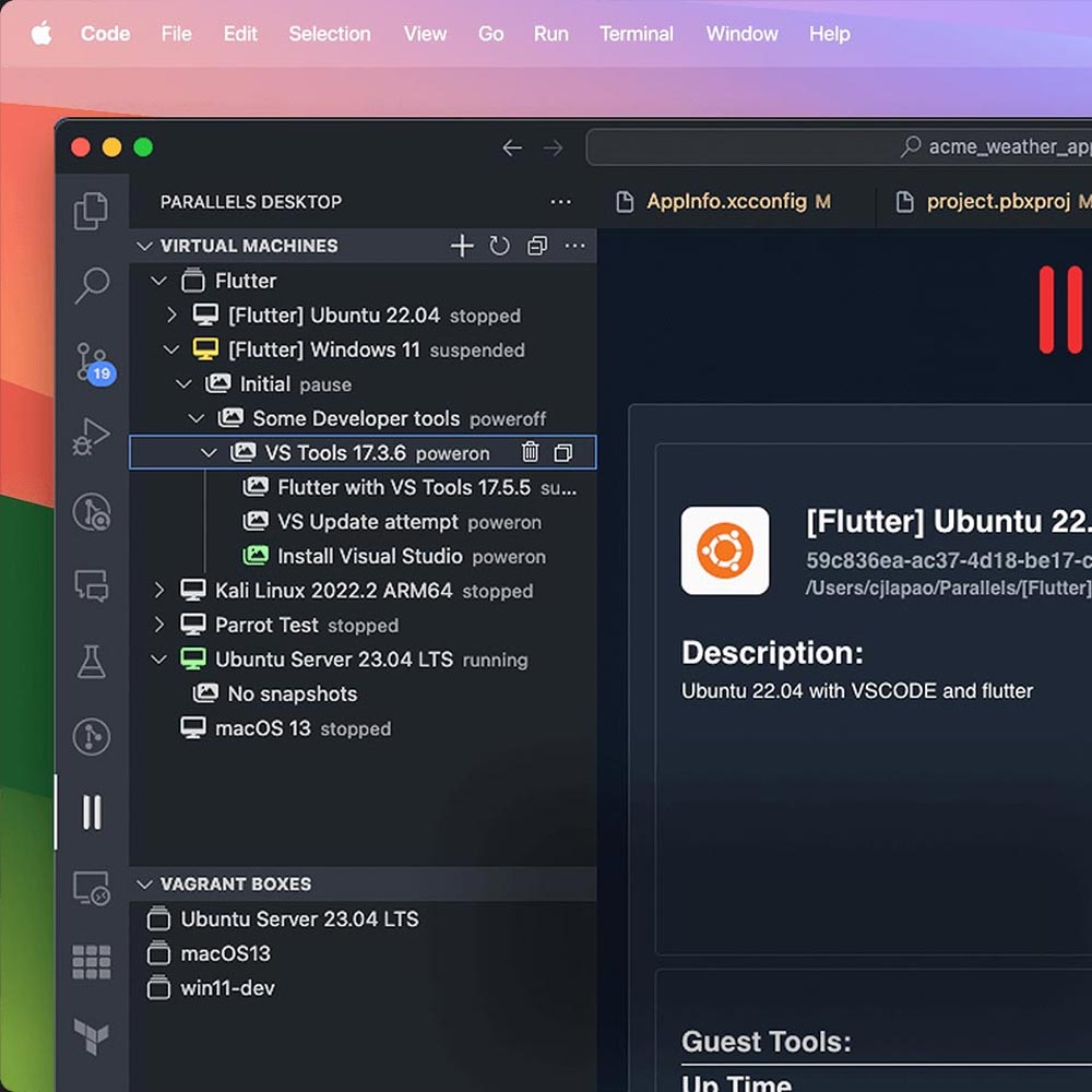 Parallels Desktop for Mac Pro (1 metams)