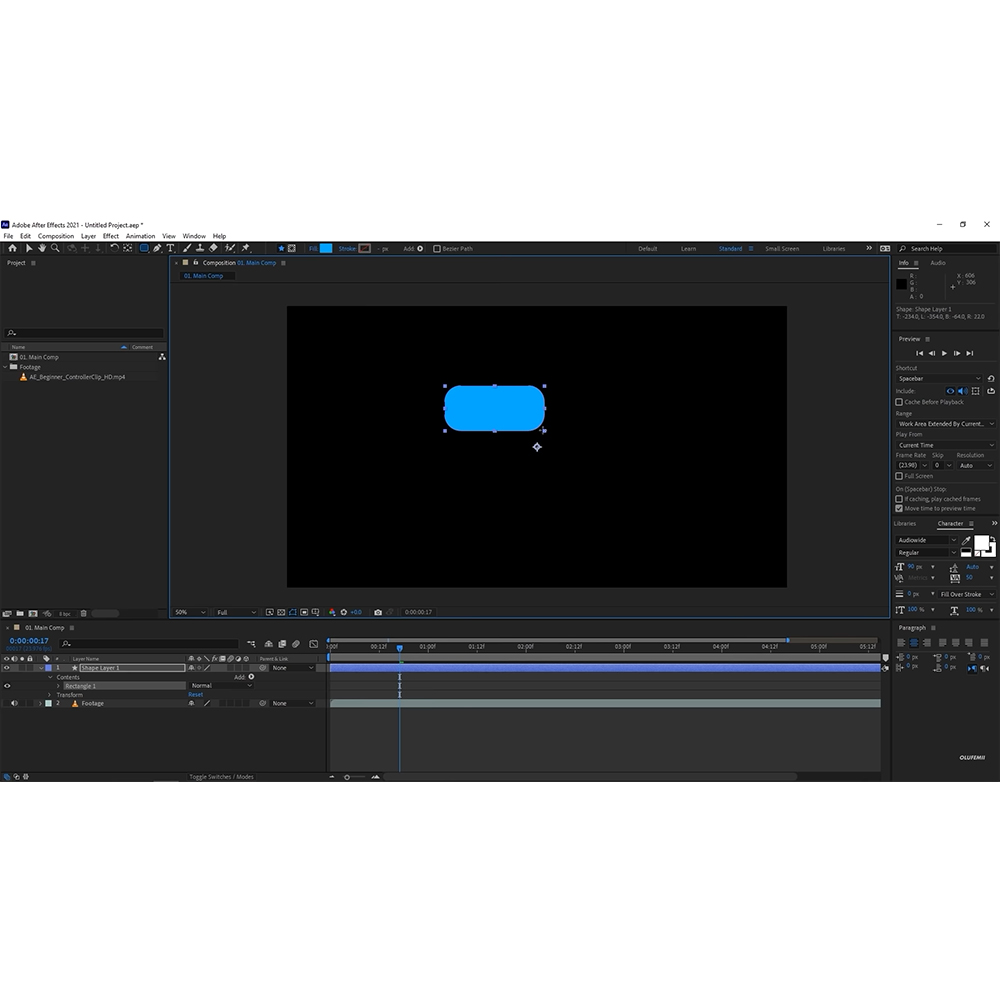 Adobe After Effects (1 metams)