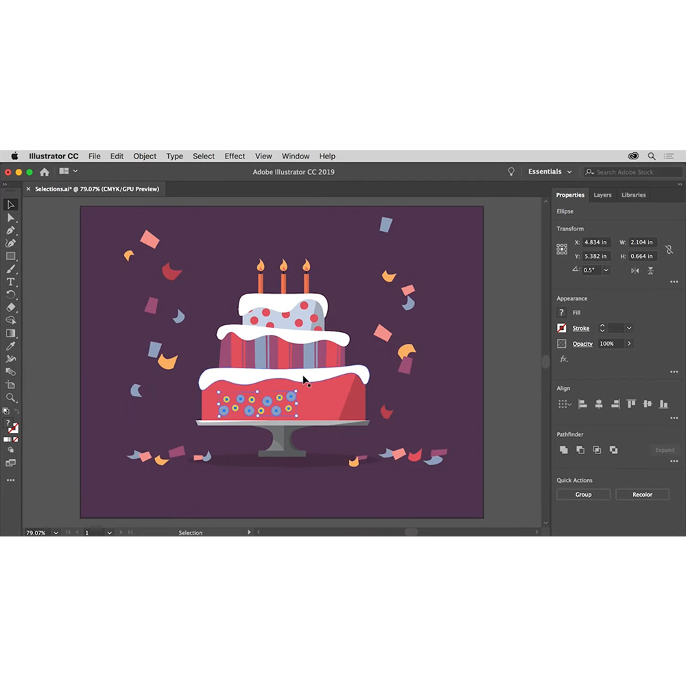 Adobe Illustrator Education (1 metams)