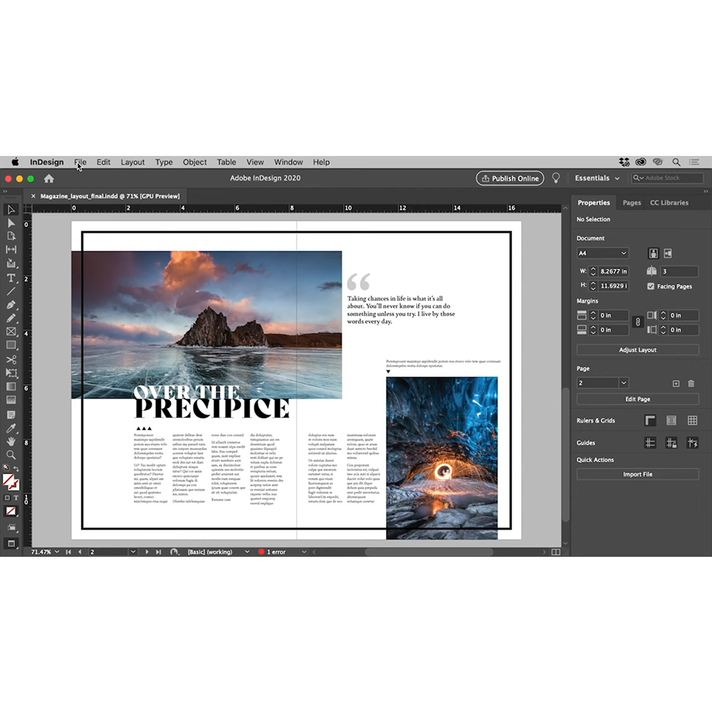 Adobe InDesign (1 metams)