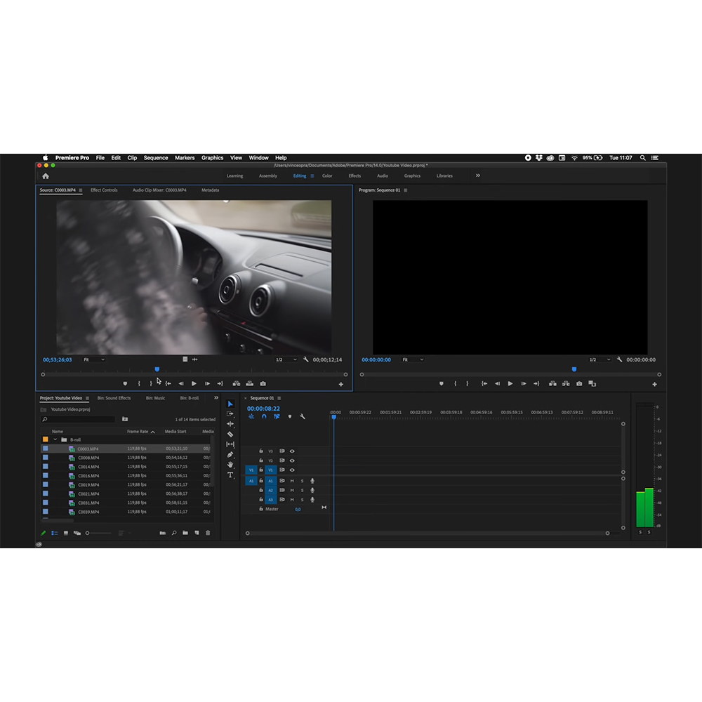 Adobe Premiere Pro (1 metams)