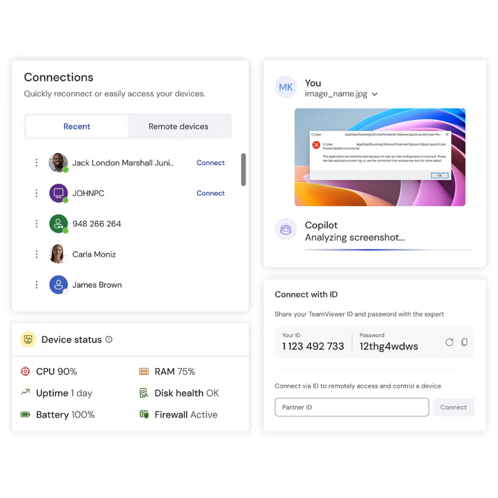 TeamViewer Business (1 metams)